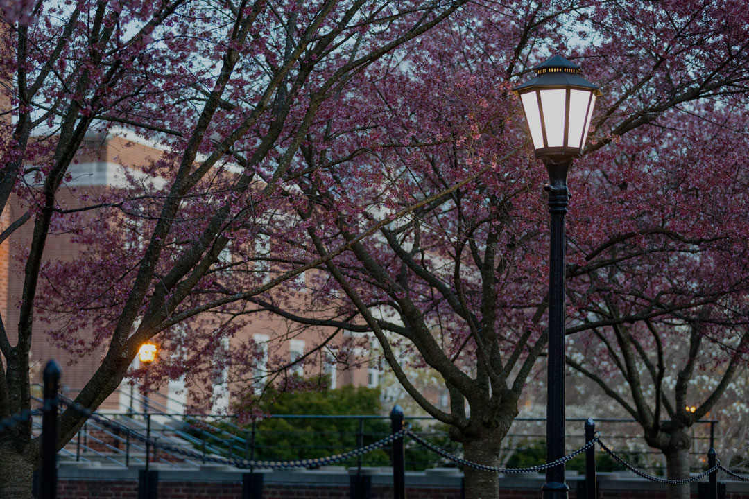 Welcome to UD Still image of the University of Delaware's campus in Spring of 2025.