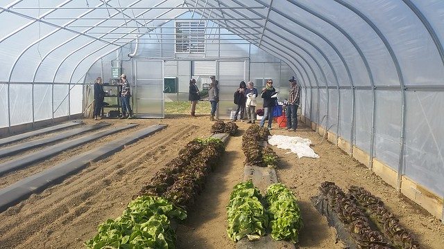 Photo of the inside of a high tunnel showing sustainable plant growth Photo of the inside of a high tunnel showing sustainable plant growth