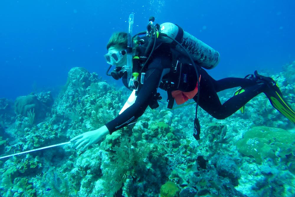 Student conducting transect underwater at reef