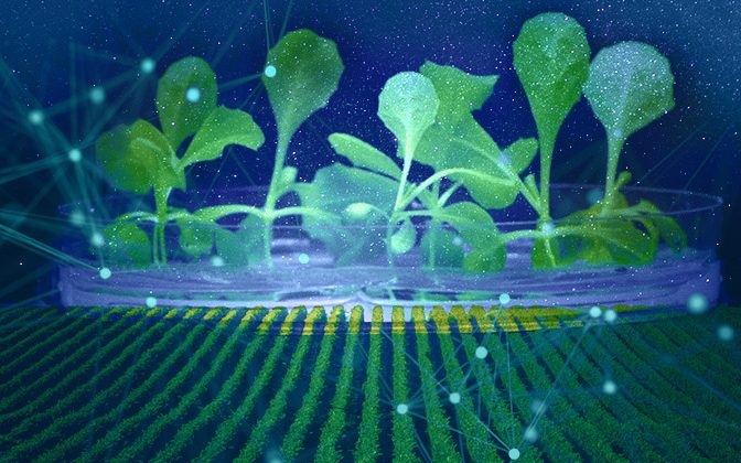 Researchers from University of Delaware and the University of California Riverside are reimagining ways to grow food, leveraging electrolyzer technology and acetate to grow crops without photosynthesis.