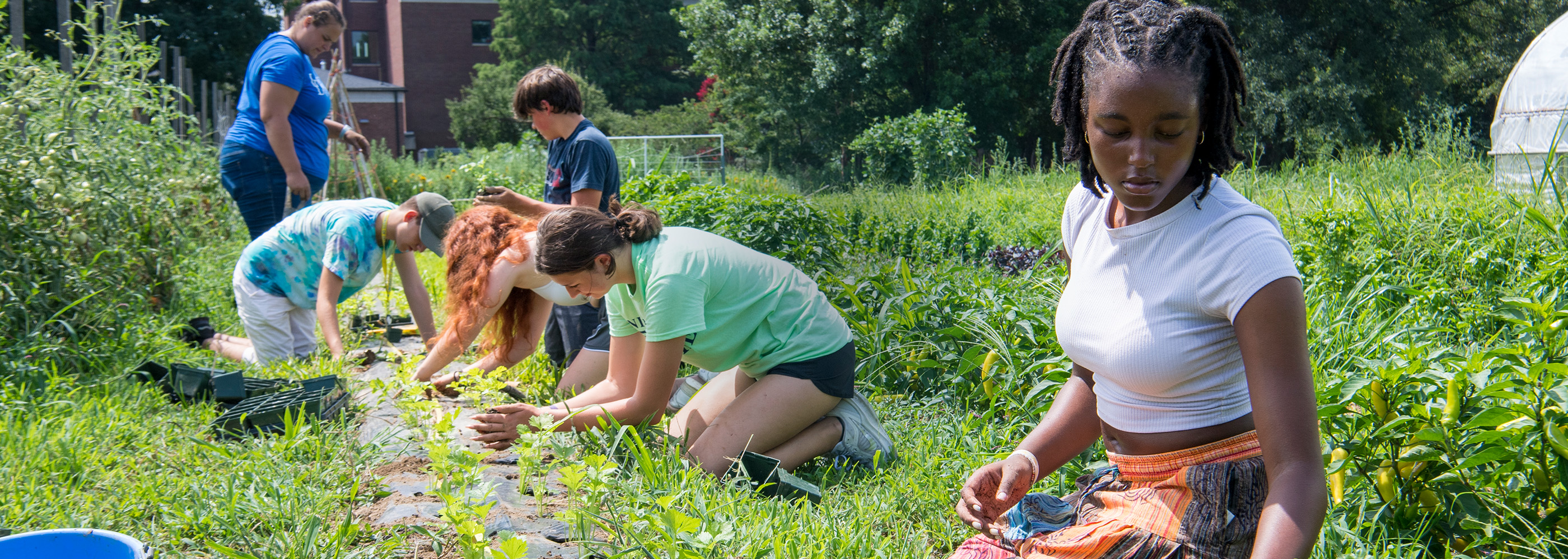 Edge Summer College Program Edge Summer College Program