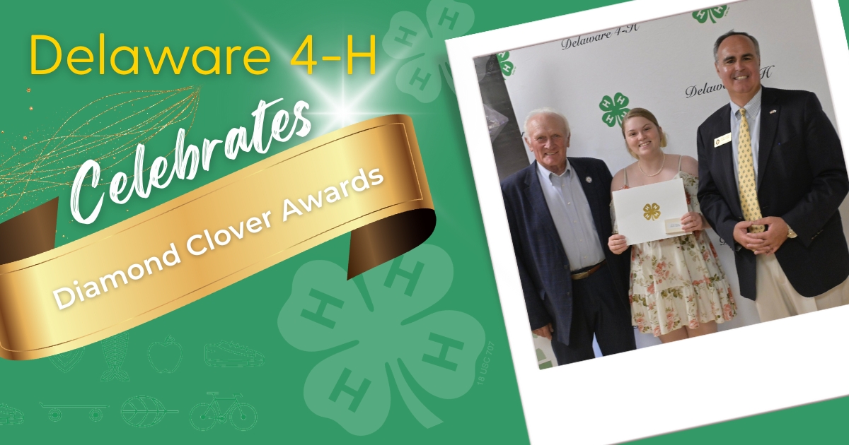 A photo collage Diamond Clover Award winner A photo collage Diamond Clover Award winner