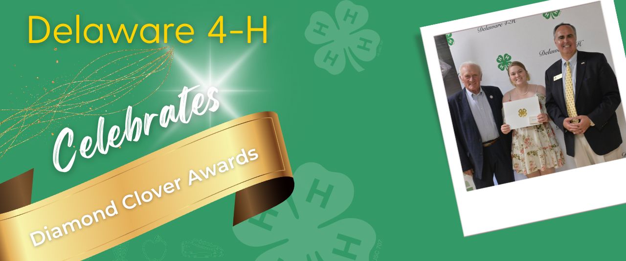 Diamond Clover award winner