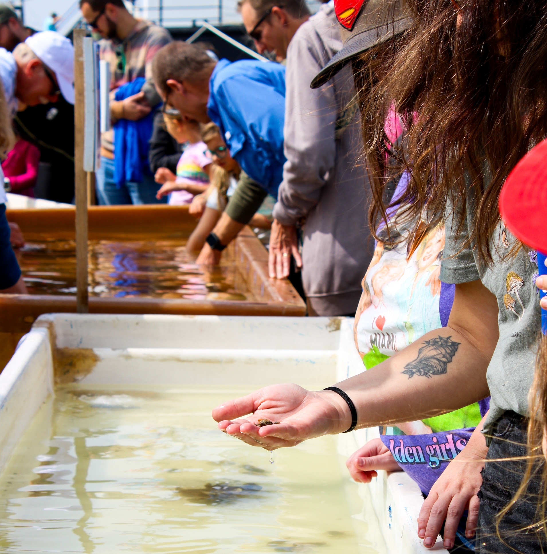 A Coast Day attendee lifts up small marine life from a nearby tank of water.