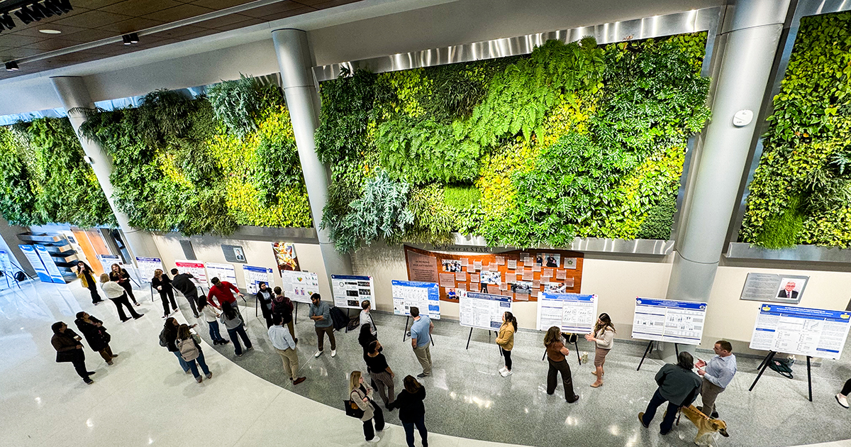 An overhead shot that shows the living wall and research posters lined up in the Atrium of STAR as part of the 2024 CHS Research & Innovation Day.