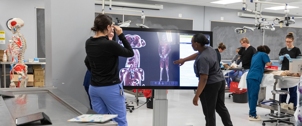 Kinesiology and applied physiology students use the department’s new virtual anatomy tables to isolate ligaments, tissues, and arteries in the hand. UD is one of few schools in the country to offer this cutting-edge tech to undergraduate students.  