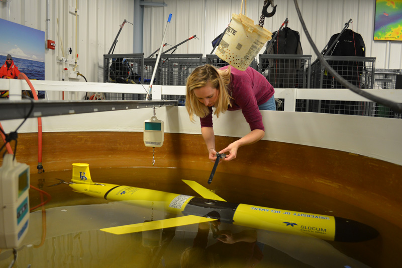 UD’s Danielle Haulsee prepares an underwater glider for work in the White Shark Café, an area of the Pacific Ocean situated halfway between the Hawaiian Islands and Southern California. 