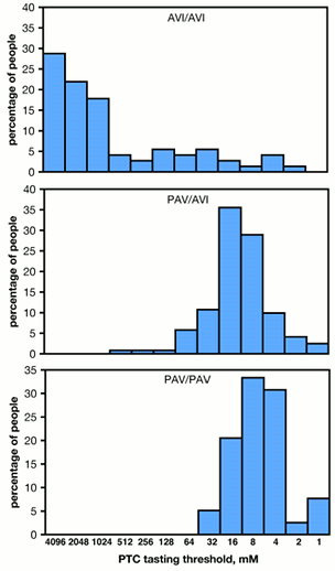 PTC haplotype graph