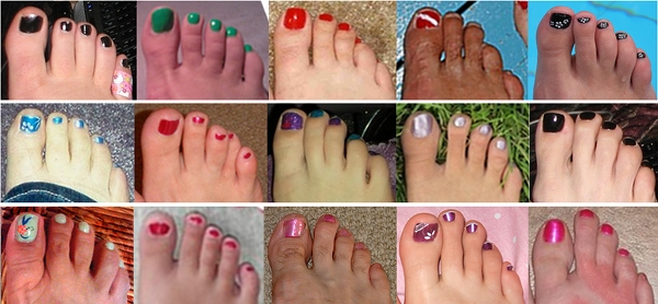 Ancestry Toe Chart