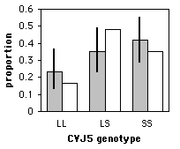 Goodness of fit graph with bars for expected
