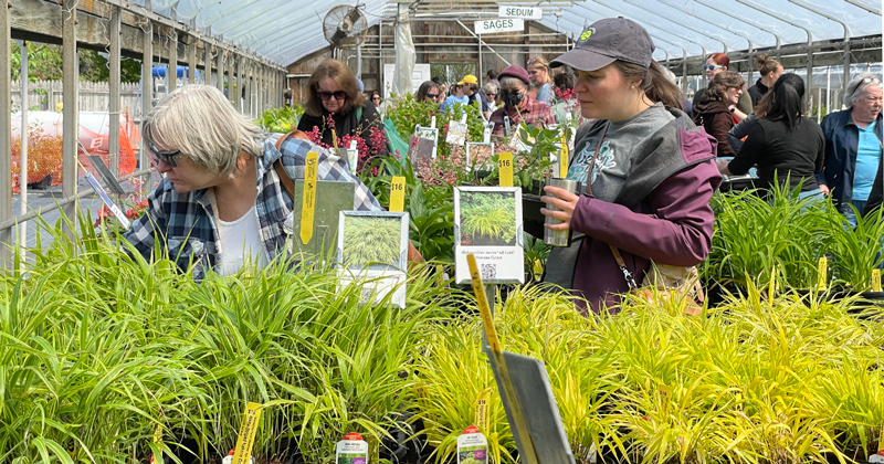 CANR_Ag-Day_043022 People shopping for plants.
