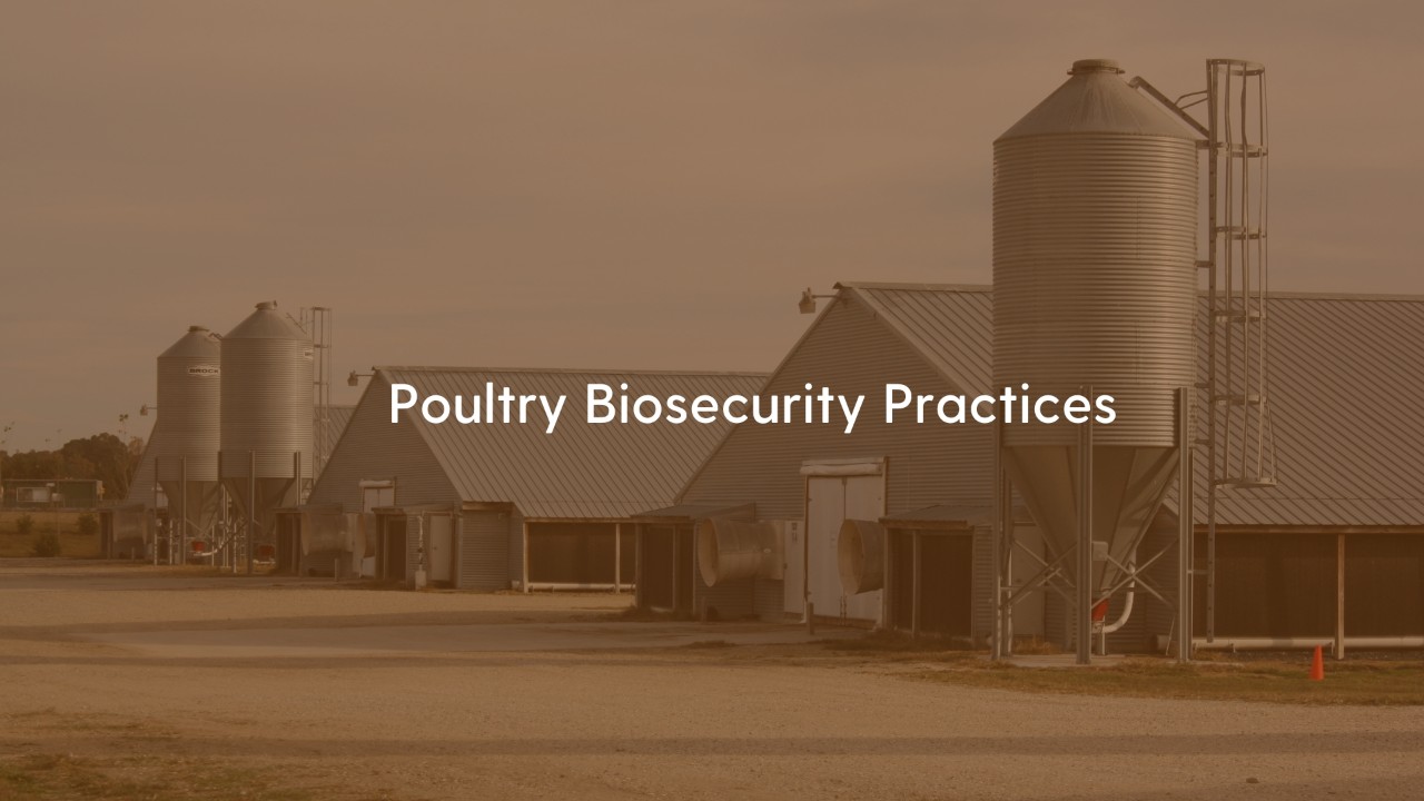 Poultry Biosecurity Practices Poultry Biosecurity Practices