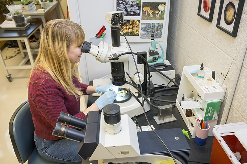 Jill Pollok Jill Pollok peers into a microscope