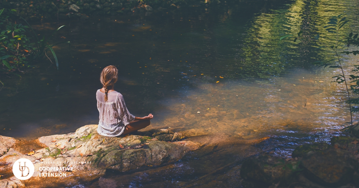 A woman sitting in nature near a pond A woman sitting in nature near a pond