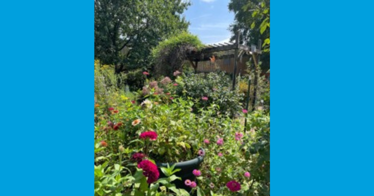 Figure 5: A photo that shows CMBS populations are consistently lower where plant diversity is greater Figure 5: A photo that shows CMBS populations are consistently lower where plant diversity is greater