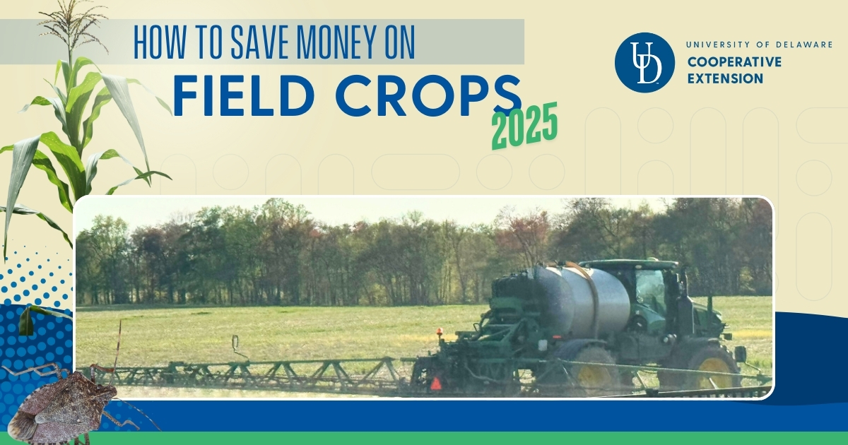 Article featured image showing a sprayer on a local farm in Delaware Article featured image showing a sprayer on a local farm in Delaware