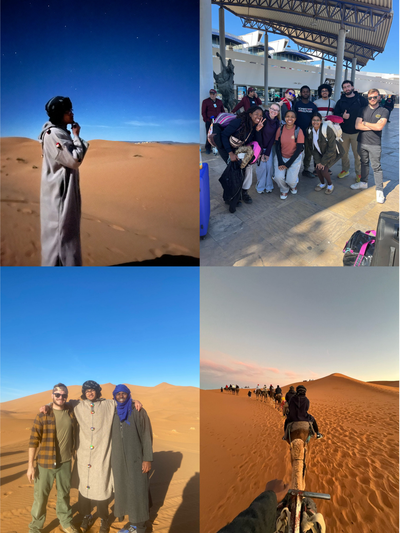 collage of student in the desert on camel's back and group picture with other students