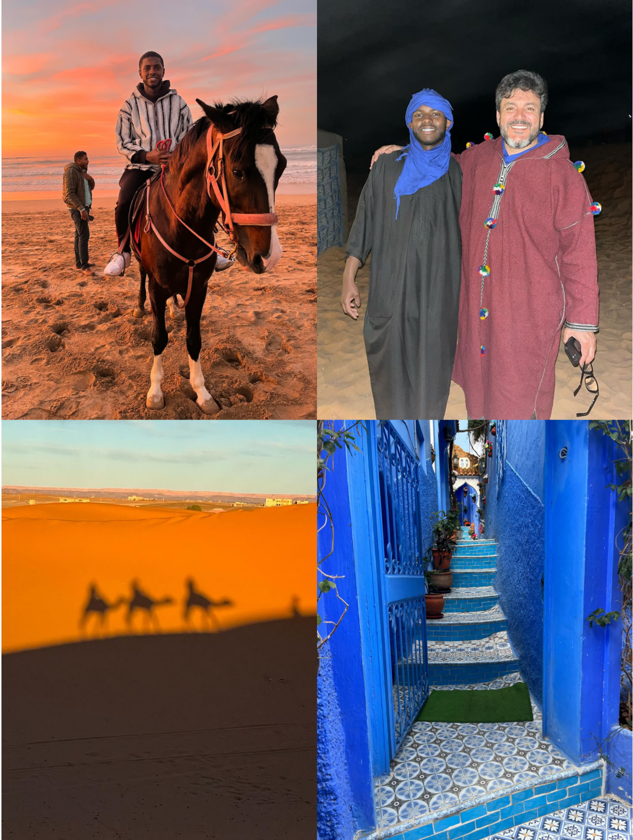 collage of student with camels, and student on horse's back