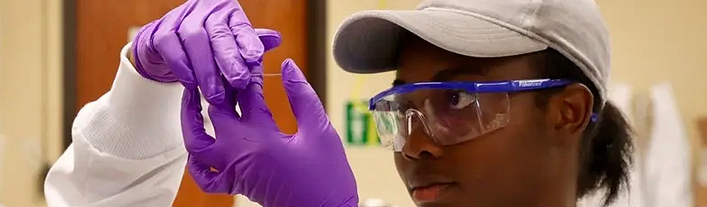 Animal and Food Sciences Animal and Food Sciences