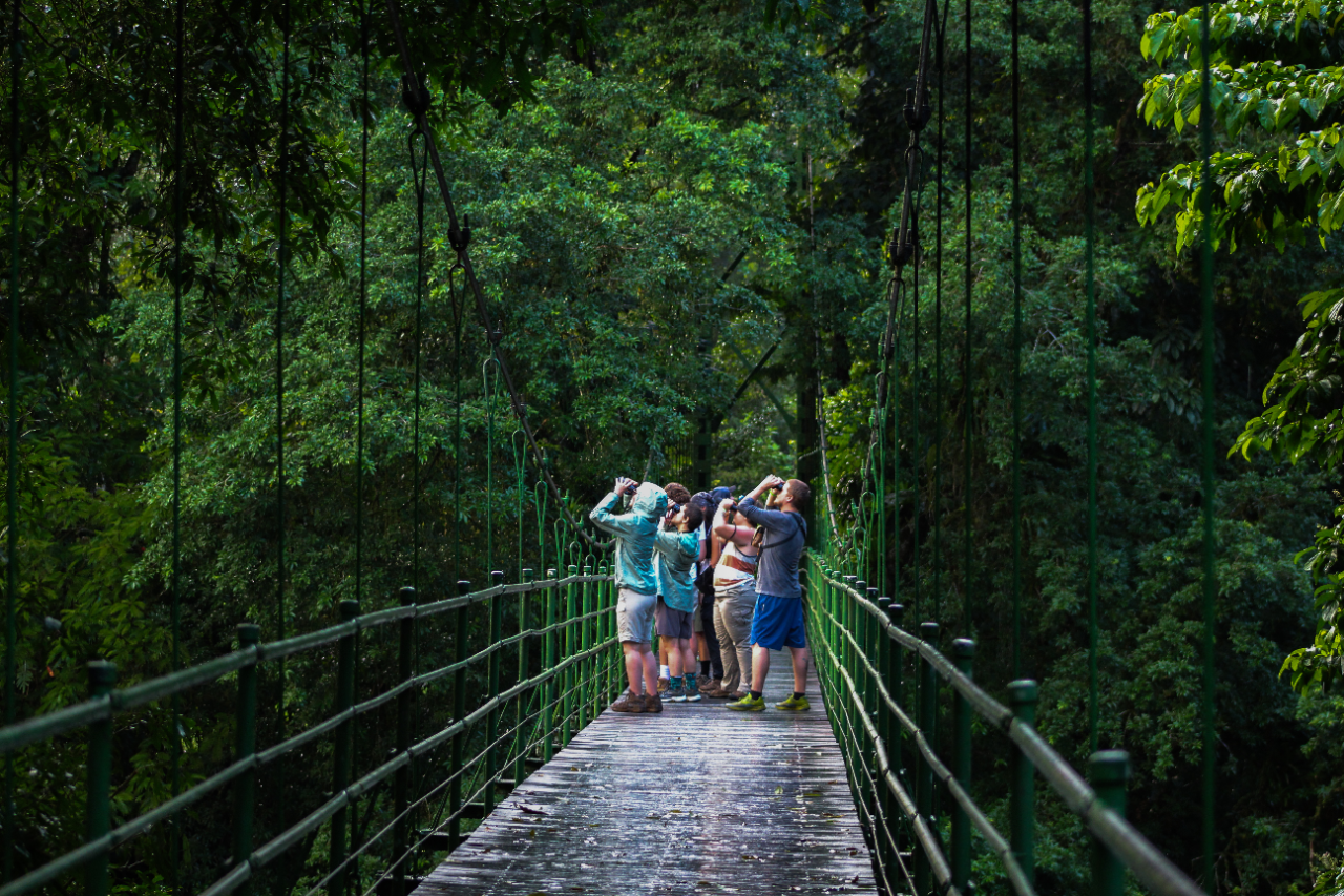 Study Abroad Storytelling Contest winner students on a bridge at La Selva Biological Station to see birds