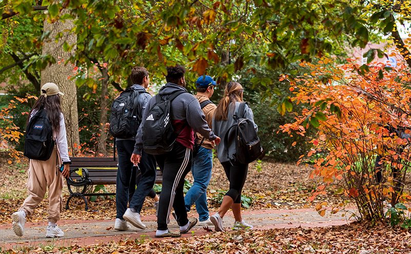 Fall Campus shots around the Green and other noteable places on main campus, October 30th, 2019. 