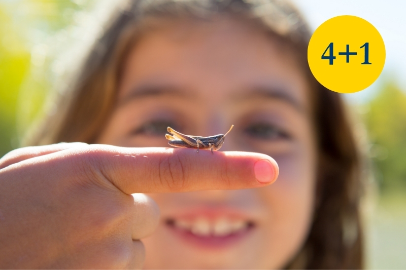 A child examining and insect.