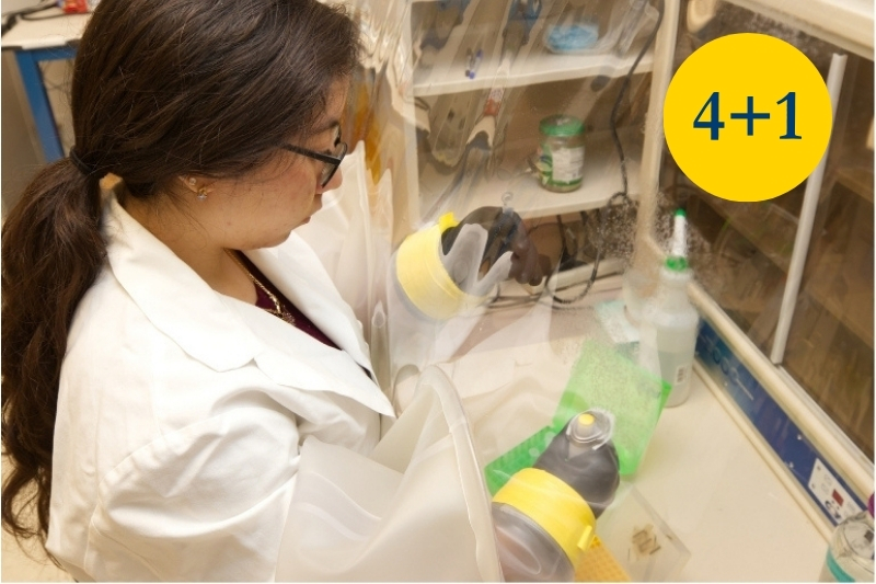 A student working in a lab setting.