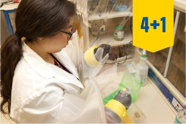 A student working in a lab setting.