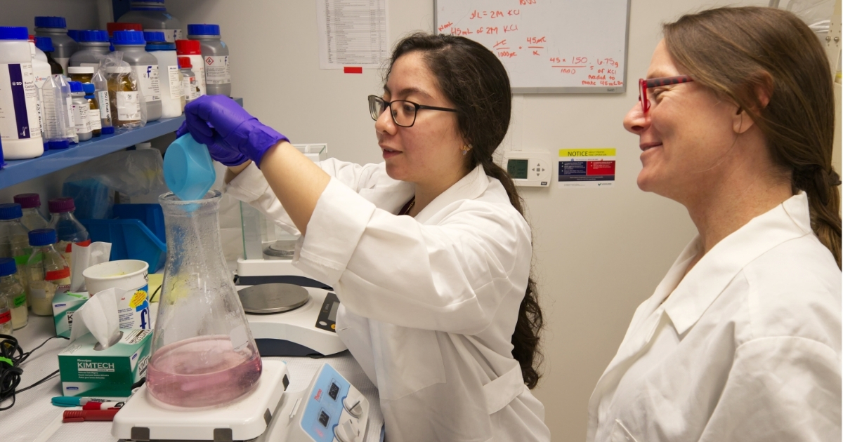 ms_non_thesis_bel_website_properties_img_canr_1200x630 - 1 A student and professor working in the lab.