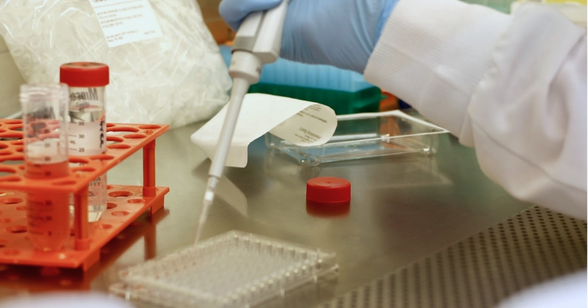 anfs_food_science_grad_non_thesis_website_properties_img_canr_1200x630 - 1 A close-up of lab work with pipettes.