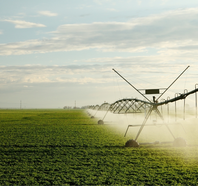 An irrigated farm field.