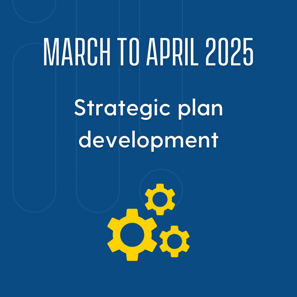 March to April 2025: Strategic plan development