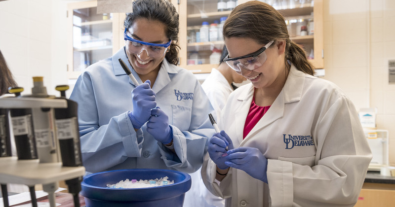 Graduate and undergraduate mentoring in Dr. Salil Lachke’s lab in Wolf Hall 