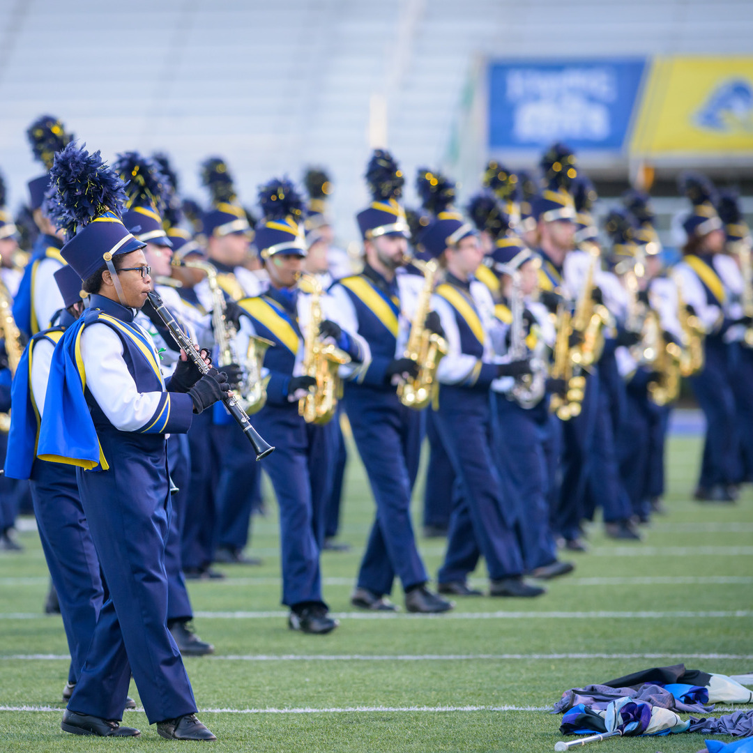 Photo of UD Marching Band on football field