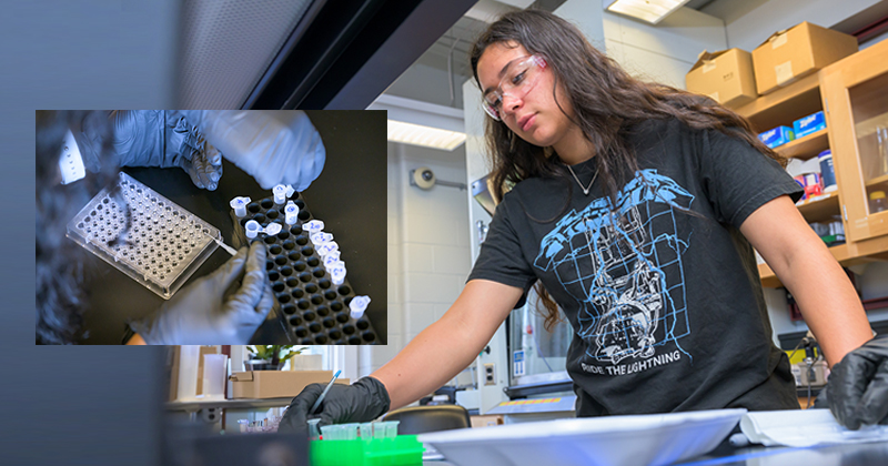 young woman working with test tubes in a laboratory