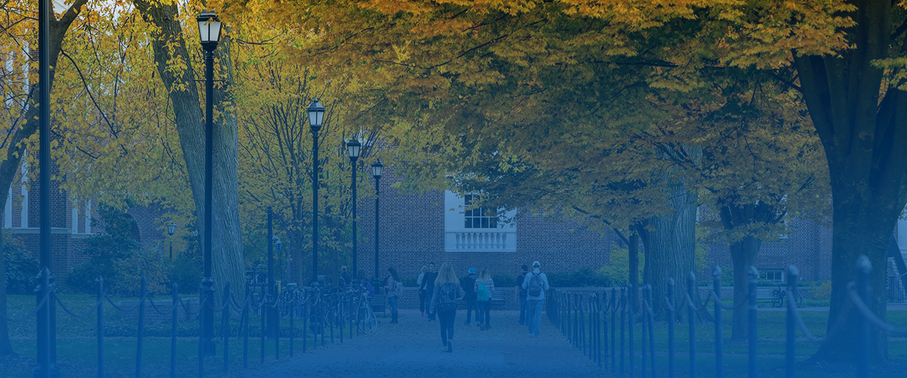 Image of UD's Campus during the fall.