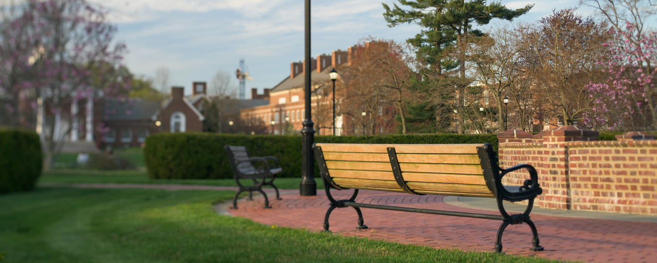 Campus Green Bench