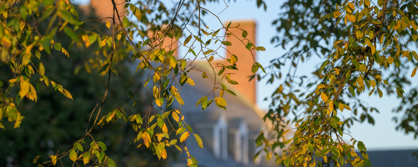 Campus Closeup of Leaves