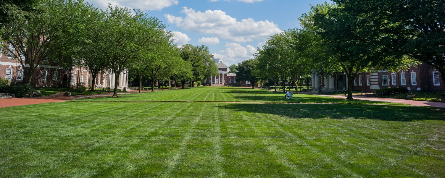 Green grass on central green at UD campus