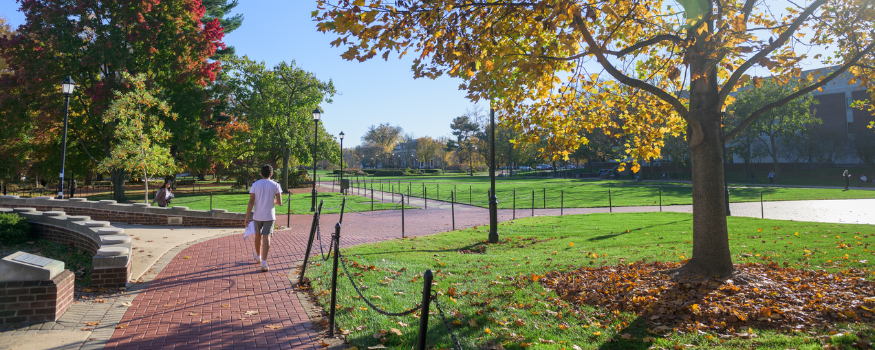 Student walking on the sidewalk on campus green