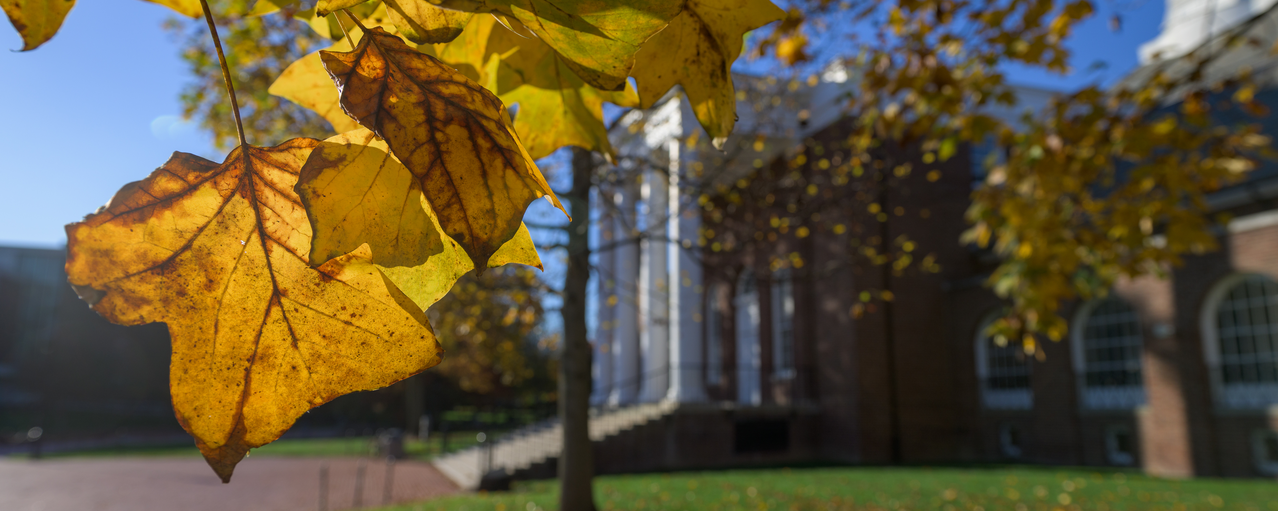 University of Delaware Campus on a Fall Day.