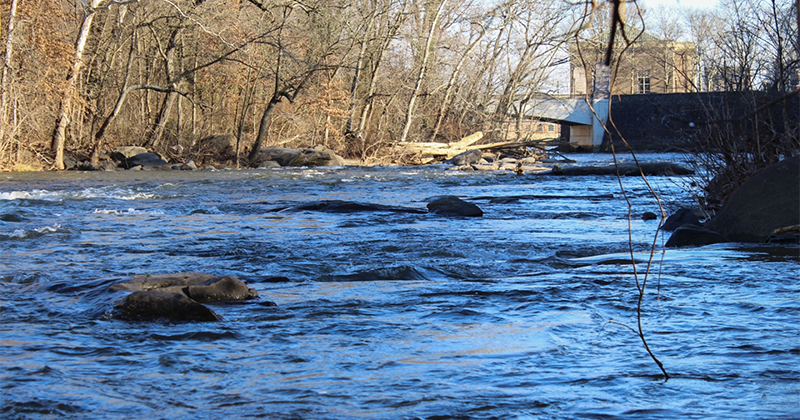 Photo of the Brandywine River 