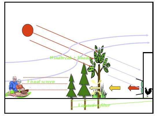 Detail chart of vegetative buffers for environmental concerns Detail chart of vegetative buffers for environmental concerns
