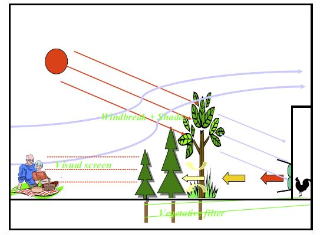 Detail chart of vegetative buffers for environmental concerns