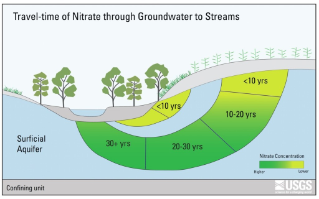 Diagram of Nitrate through water