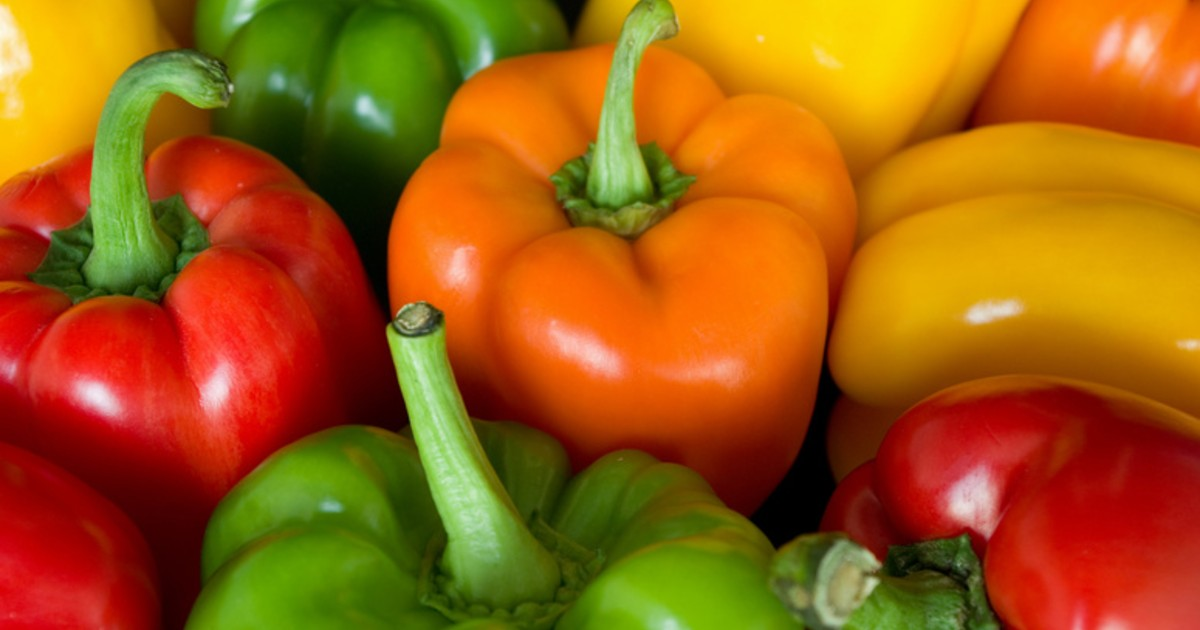 A group of colorful peppers A group of colorful peppers