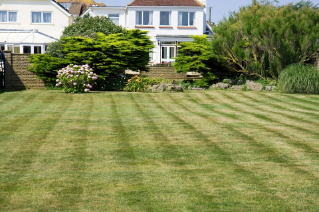 Freshly mowed lawn in front of a white house