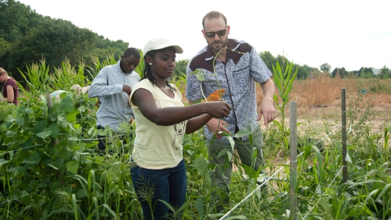 Susan and Randy examining maize in the field.