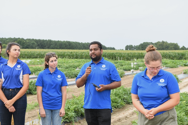 a line of five students  in blue UD shirts stand outside a corn field