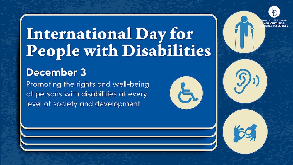 International Day for People with Disabilities. December 3: Promoting the rights and well-being of persons with disabilities at every level of society and development.